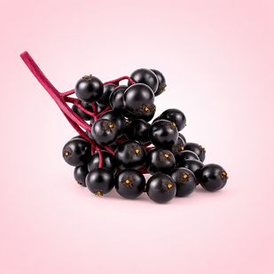 ELDERBERRY